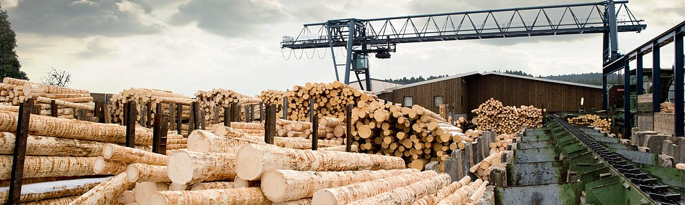 ������������ ���������